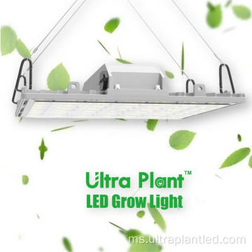 TEKNOLOGI KESESUAIAN YANG DIPATENKAN GROW LIGHTS